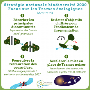 snb_et_trames_ecologiques snb_et_trames_ecologiques